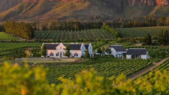 Cape Town - Ladang Anggur Constantiadale + lawatan sehari santai pantai tersembunyi - sewaan peribadi pergi-balik