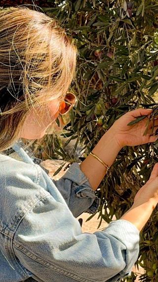Argentina Mendoza Maipú three wineries and olive grove tasting 1-day tour