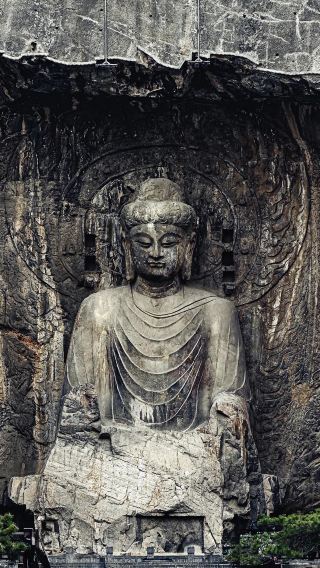 Longmen Grottoes + Songshan Shaolin Scenic Area 1-day tour | Visit two UNESCO World Heritage Sites and explore the history of Central Plains