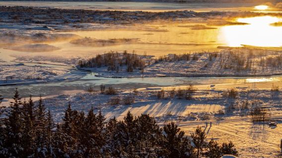 Reykjavik: Full-Day Golden Circle & Geothermal Greenhouse