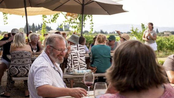 Alcúdia/Can Picafort: Guided Vineyard Visit and Wine Tasting