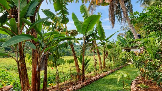 Ahangama: Srilanka Cinnamon Village Experience