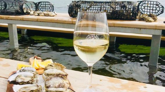 Coffin Bay Oyster Farm Wading Tour & Tasting Experience