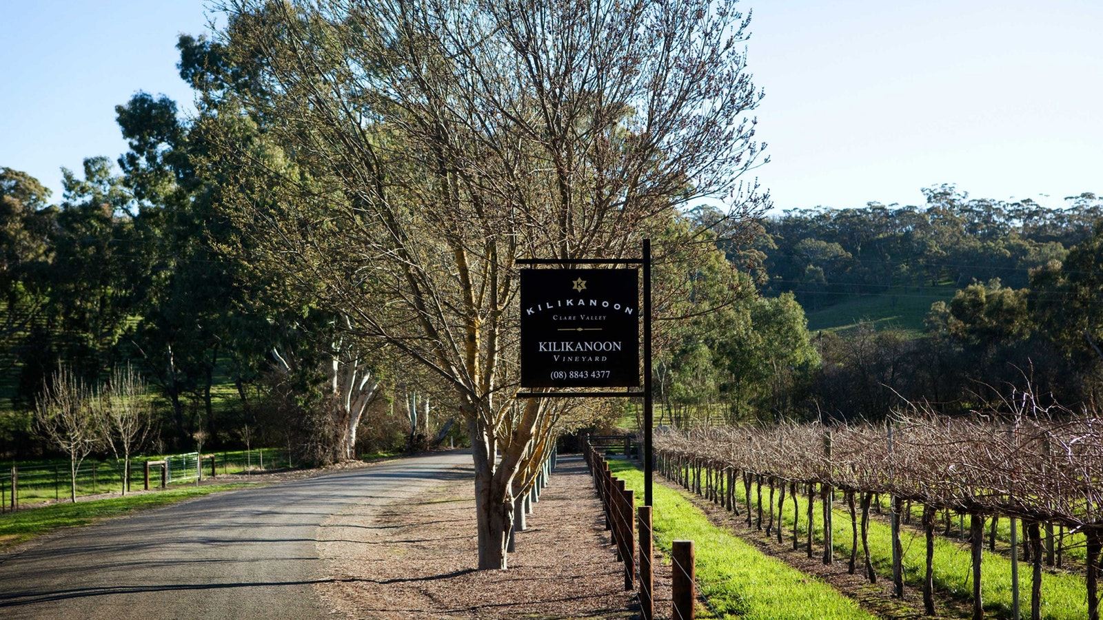 阿德萊德澎湃粉紅湖+奔富一日遊【中文包車/瑪吉爾酒莊/接急單