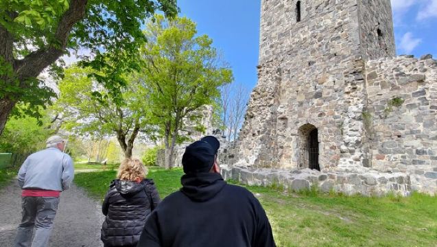 Viking History, Runes & Countryside 9h Tour to Sigtuna & Uppsala
