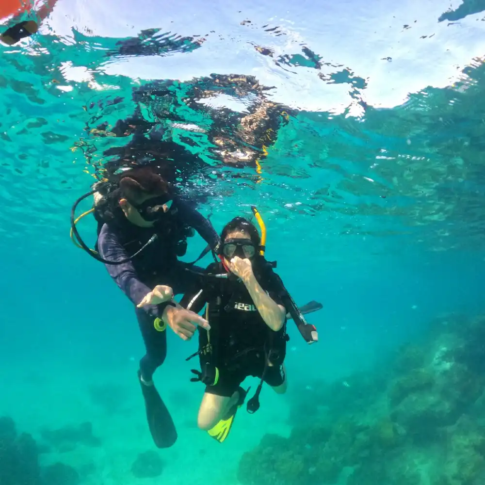 ダイビングライセンス不要！フーコック島のスキューバダイビング体験