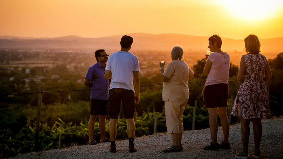 AssisiTours