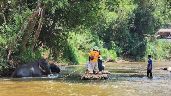 チェンマイ ナチャイ エレファント キャンプ + スティッキー滝ワンデーツアー(象乗り、竹ラフティング、食事、送迎付き)