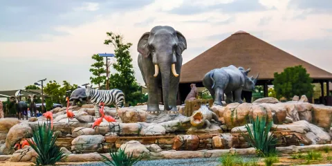 杜拜城市遊連黃金及香料市集與杜拜野生動物園之旅連接送