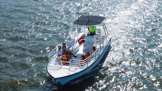 Hilton Head IslandTours