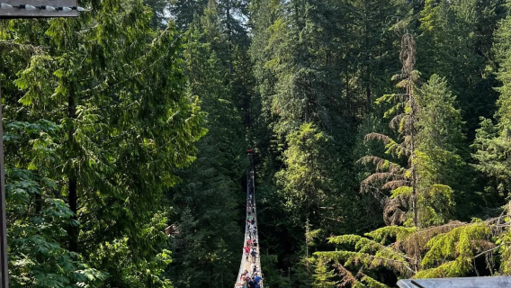 史丹利公園＋煤氣鎮＋英吉利灣海灘+觀景塔：溫哥華包車一日遊