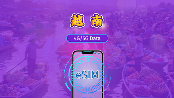 胡志明市