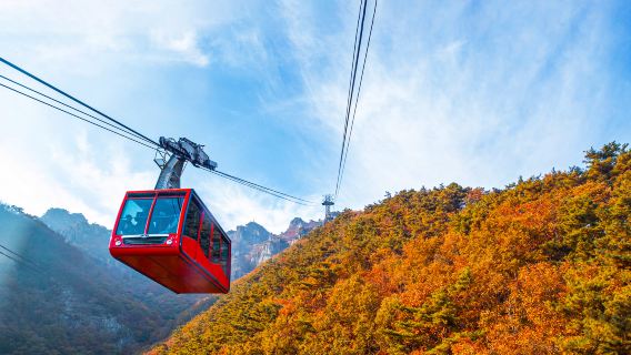 excursión de un día(Salida desde Seúl/Grupo de 4)