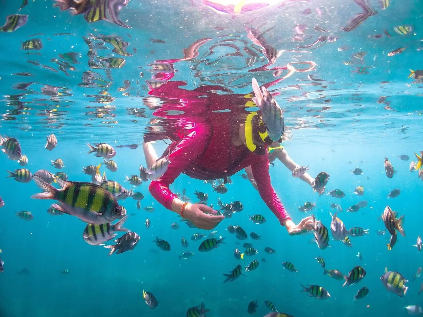 Bertolak dari Krabi: Pulau Phi Phi + Teluk Maya + Pulau Buluh + Lawatan Sehari Bot Laju Pantai Monyet