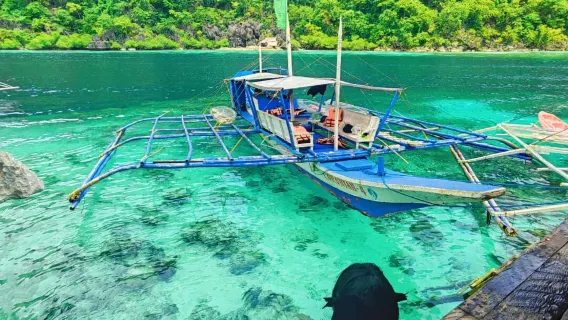 Philippines Coron Island Hopping Tour Route B - Pais Island & Luzon Shipwreck & Coral Garden & Dongtang Shipwreck