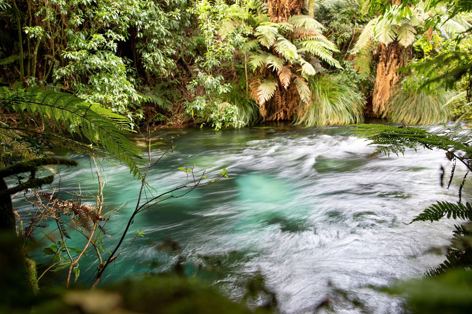 奧克蘭【藍泉+懷歐塔普地熱公園+胡卡瀑布+陶波湖】