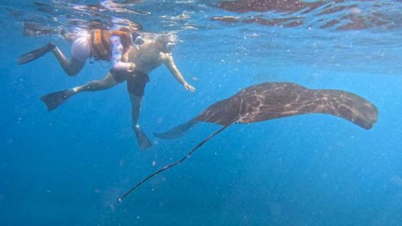 Indonesia, Bali: Esperienza di snorkeling a Nusa Penida