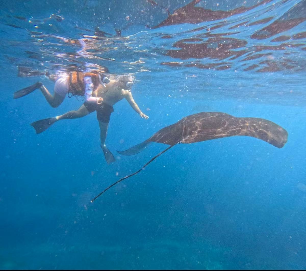 インドネシア・バリ島：ヌサペニダ島（Nusa Penida）シュノーケリング体験