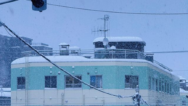 日本北海道小樽一日遊｜天狗山｜札幌來回｜尋找《情書》中的美景