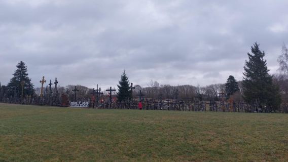 From (Riga) Jelgava train station: hill of crosses, Rundale