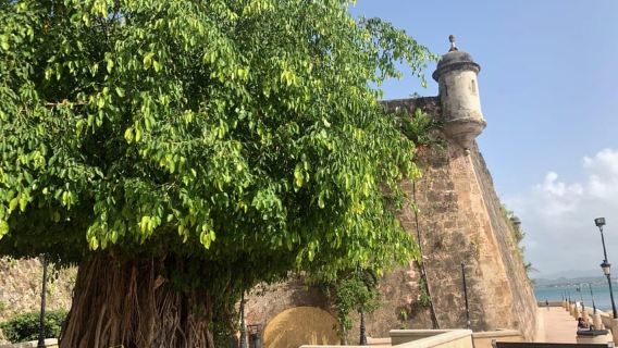San Juan: Old San Juan Guided Walking Tour