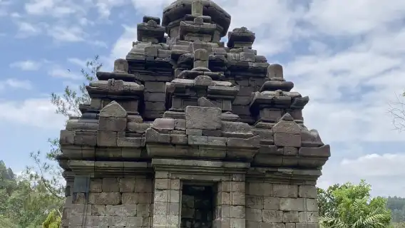Borobudur & Selogriyo Rice Terraces Private Tour with Lunch