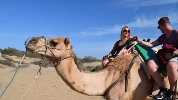 Maspalomas: Guided Camel Ride in the Maspalomas Sand Dunes