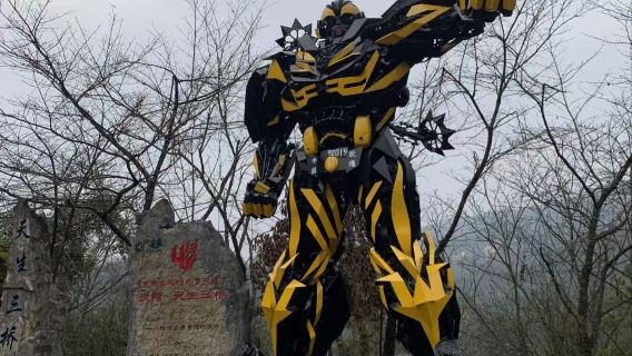 Private guided tour for Wulong/Dazu Rock Carvings/Chongqing Zoo