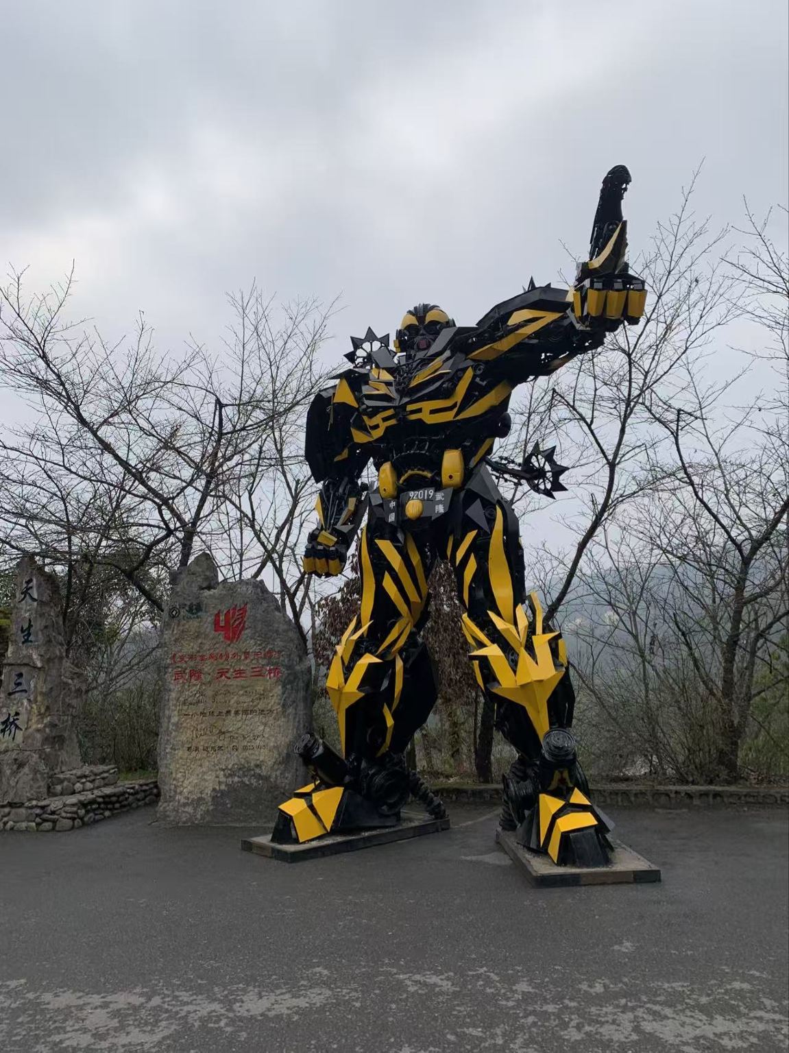 Private guided tour for Wulong/Dazu Rock Carvings/Chongqing Zoo