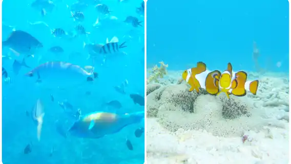 沖繩南部一日遊巴士/玻璃船+知念岬+瀨長島等/中文導遊同行