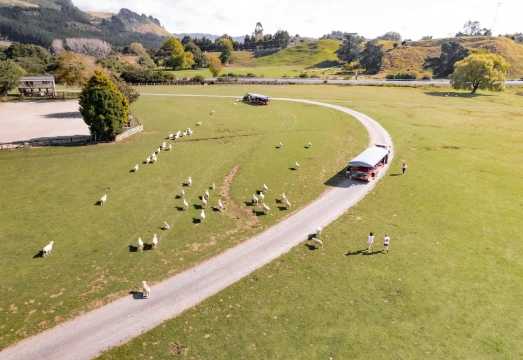 Rotorua Farm Tractor Animal Tour and Sheep Shearing Show Guide