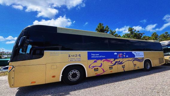 【濟州島一日遊】「濟」刻出行|「攜」手玩轉牛島線