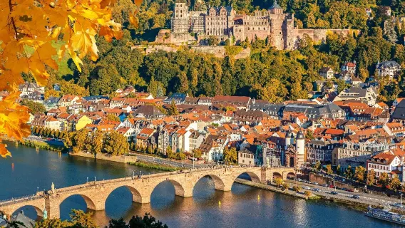 Tour di un giorno VIP a Heidelberg, Rüdesheim e crociera nella Valle del Reno con autobus dedicato in cinese