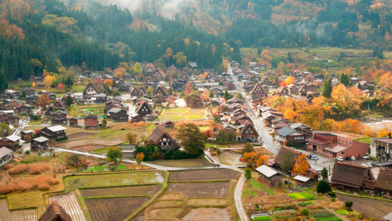 나고야 다카야마 시라카와 일일 투어| 9인 소규모 그룹/ 버스 그룹 픽업 중국어 서비스 가능