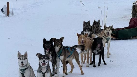 美國費爾班克斯珍娜溫泉＋雪橇＋極光【私人包車＋冰與火之旅】