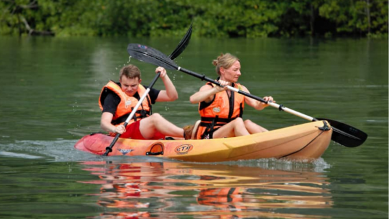 Pengalaman Berenang dan perahu kayak di Hutan Bakau Langkawi