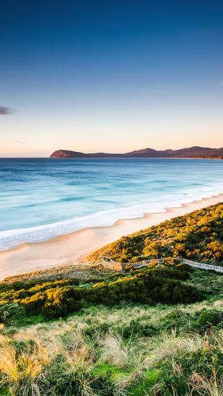 Discover Bruny Island in Tasmania, Australia [Includes city transfers/Tasmania's must-visit spots]