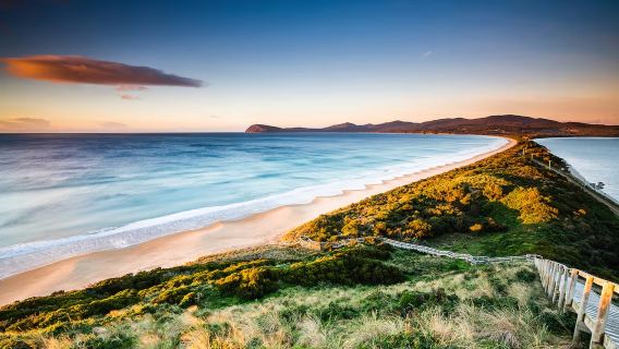 Discover Bruny Island in Tasmania, Australia [Includes city transfers/Tasmania's must-visit spots]