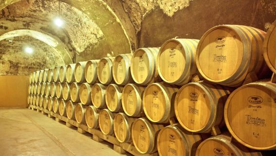 法國勃艮第-勃艮第酒莊參觀+品酒【含中文陪同講解】包車