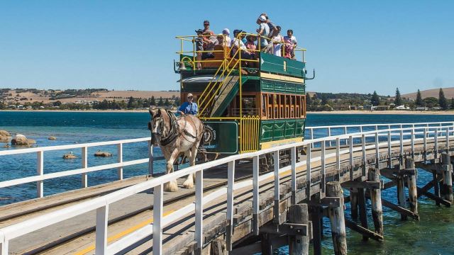 南澳阿德萊德菲爾半島 魔幻奇趣 黛倫堡+維特港 中文一日遊