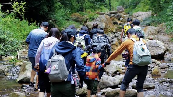 西雙版納基諾山雨林徒步一日遊贈傣迪+射箭竹筏鞦韆樹降雨林大餐