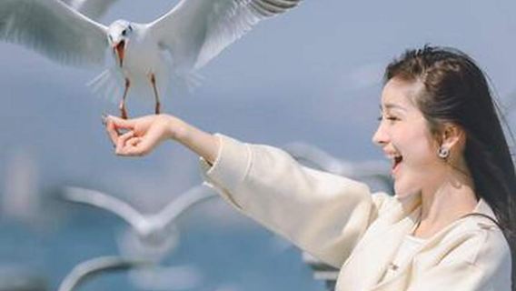 昆明滇池+西山風景區+海埂公園+官渡古鎮+斗南花市 一單一團