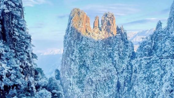 郴州·莽山五指峰景區一日遊【精緻小團上門接送純玩自由行包車】