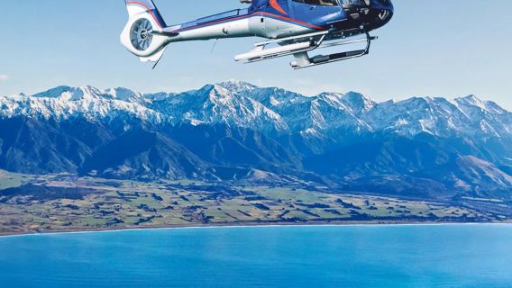 紐西蘭南島包車一日遊｜基督城出發 【凱庫拉奇跡 ·觀鯨追豚】