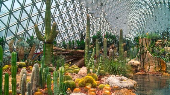 เซี่ยงไฮ้ไปกลับ: แหล่งวัฒนธรรมของกวางฟุหลิน+สวนพฤกษศาสตร์เซี่ยงไฮ้เฉินซานทัวร์ 1 วัน | รวมตั๋วเข้าไม่ทัวร์แบบกรุ๊ปรวม