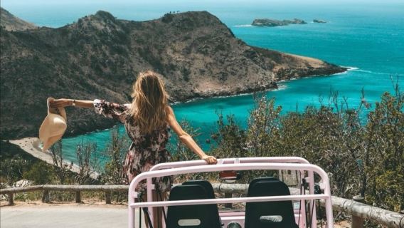 モーリシャス ▎貸切チャーター ワンデーツアー クジラウォッチング+ライオンウォーク+ビーチ乗馬 ロマンチックな自由時間