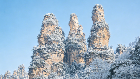 [คุ้มสุดๆ] ทัวร์ 1 วัน อุทยานแห่งชาติจางเจียเจี้ย (อวตาร) คุ้มค่าสุดๆ