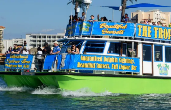 清水灣：導賞海豚探索郵輪之旅