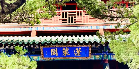 煙台蓬萊閣丨帆船丨八仙過海+金沙灘孤獨的鯨一日遊【可選小團】