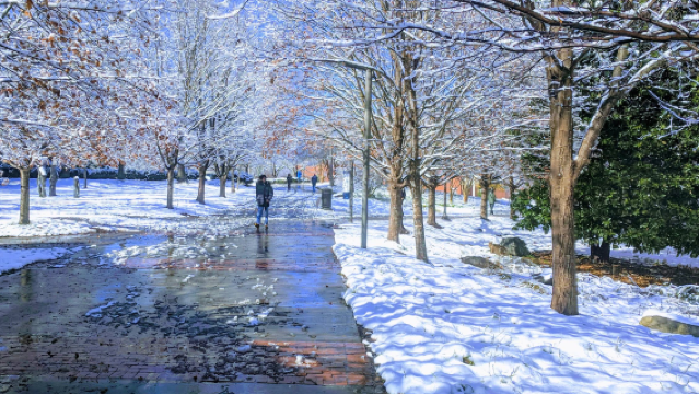 美國亞特蘭大-大煙山國家公園-森林徒步【中文專車-愜意舒適】